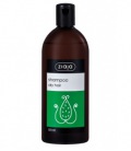 Ziaja Shampooing Aloe Vera For Dry Hair 500ml