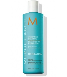 Shampoo by Moroccanoil Hydrating 250ml