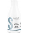 Salerm 21 Dermocalming Shampooing 250 ml