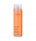 Cadiveu Bye Bye Frizz Shampoo 250ml