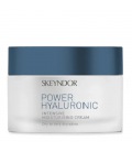 Skeyndor Power Hyaluronic Intensive Moisturizing Cream For Dry Skin