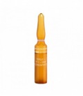 Bruno Vassari Bioceuticals. Ferulic + Vit C + Dmae Concentrate 6x2ml