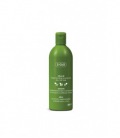 Ziaja Oliva Shampoo Regenerador 400 ml