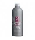 Aveda Color Catalyst 20 Vol 887ml