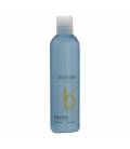 Broaer Shampoo Brilho 250 ml