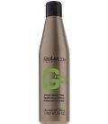 Salerm Shampoo Greasy Hair Anti Gordura 250 ml