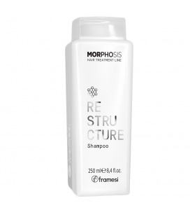 Framesi Morphosis ReStructure Shampoo 250ml